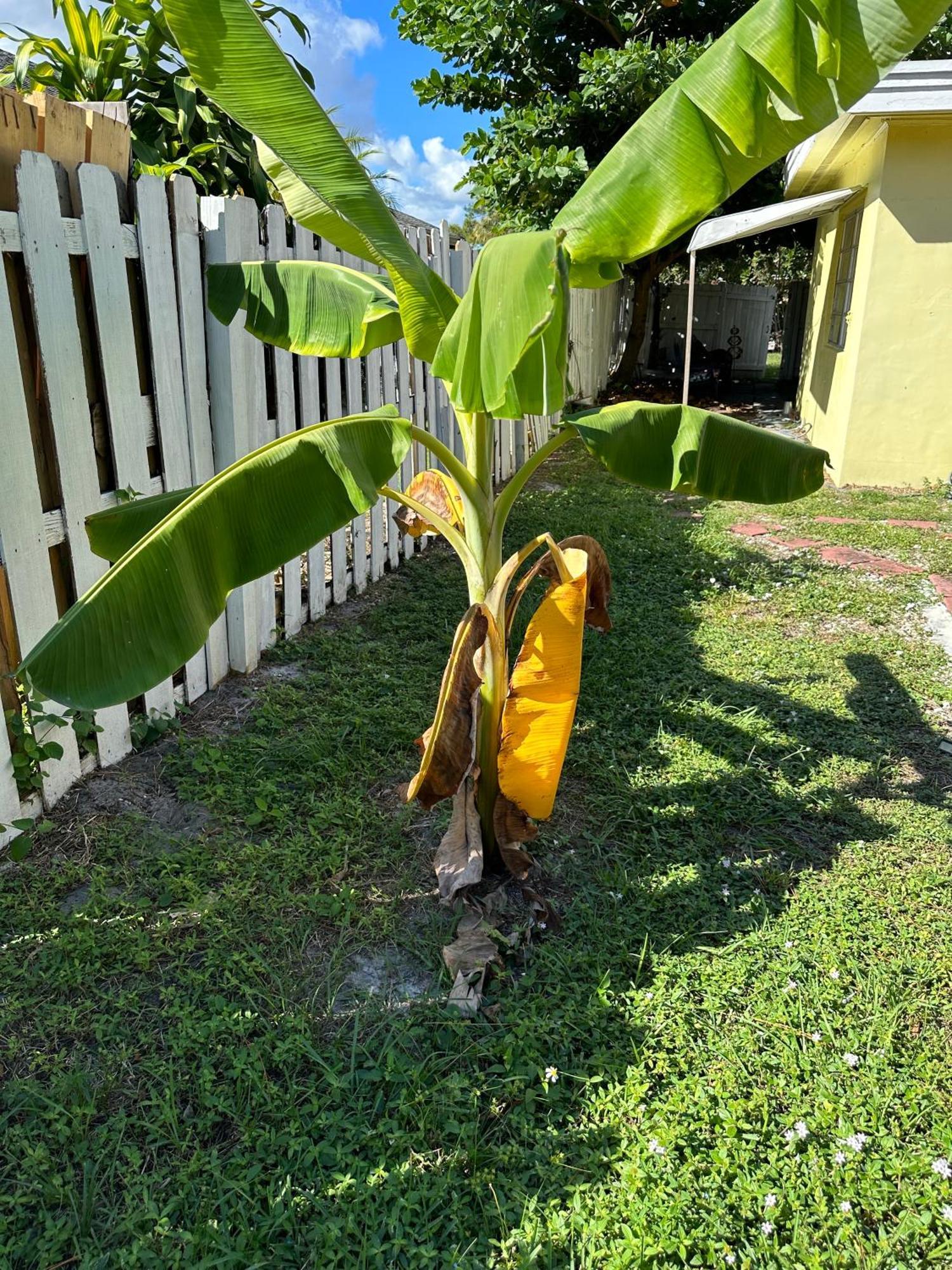 3 Bedroom House Fenced Backyard Private Patio Areas Grill Firepit Plenty Parking! Quick Access 10 Min To Beach Airport Delray West Palm Lake Worth Beach Extérieur photo
